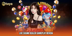 Live Casino Dealer Gameplay Review